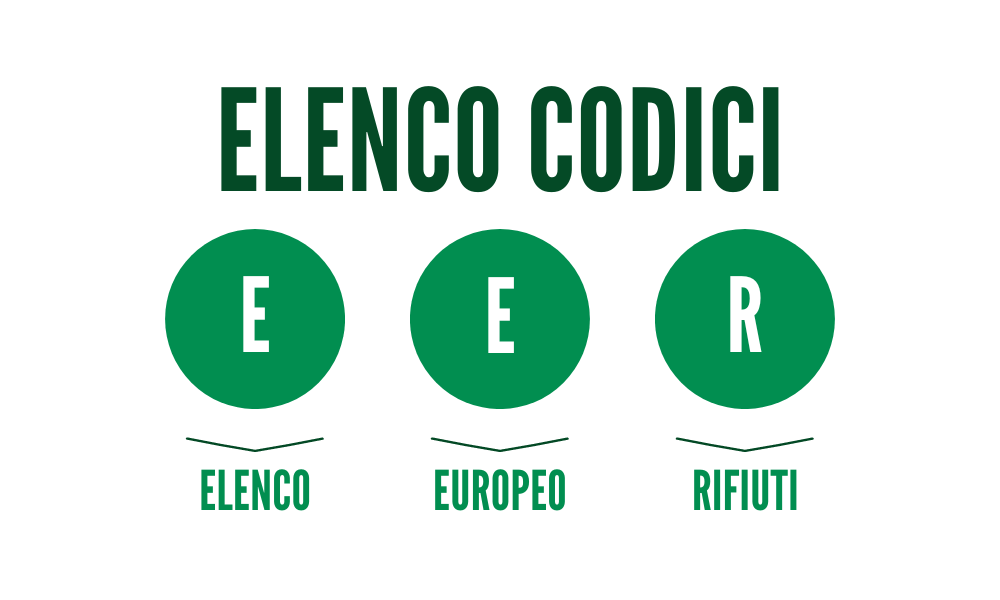 Categoria 06
